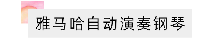 活动报道 | 远程艺术教育大师课活动—手机版w66艺术家赵宇大师课